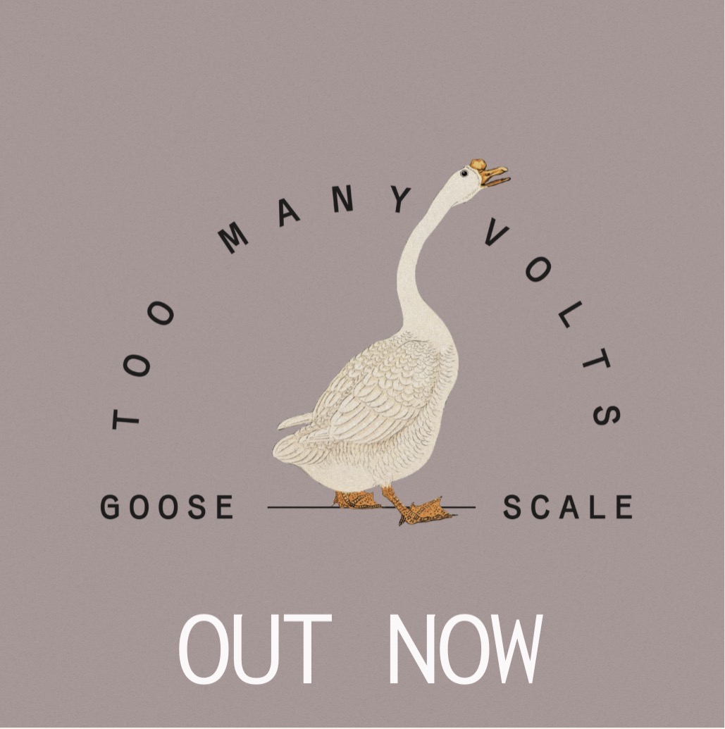 Goose Scale — new release by Too Many Volts